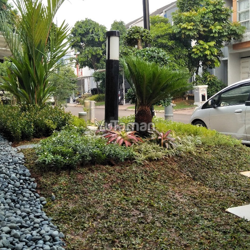 Tukang Taman Pasar Minggu
