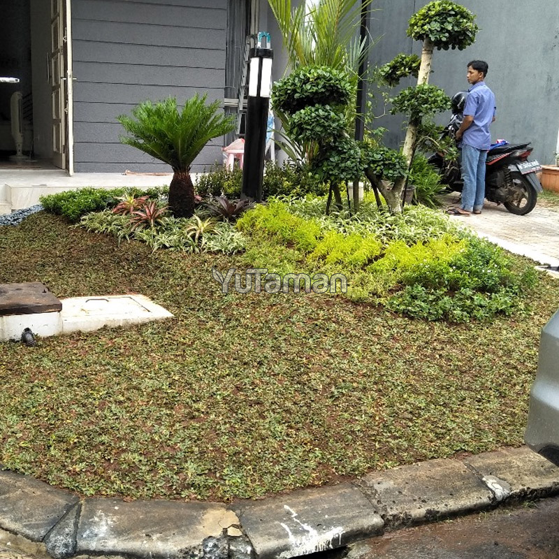 Tukang Taman Tangerang