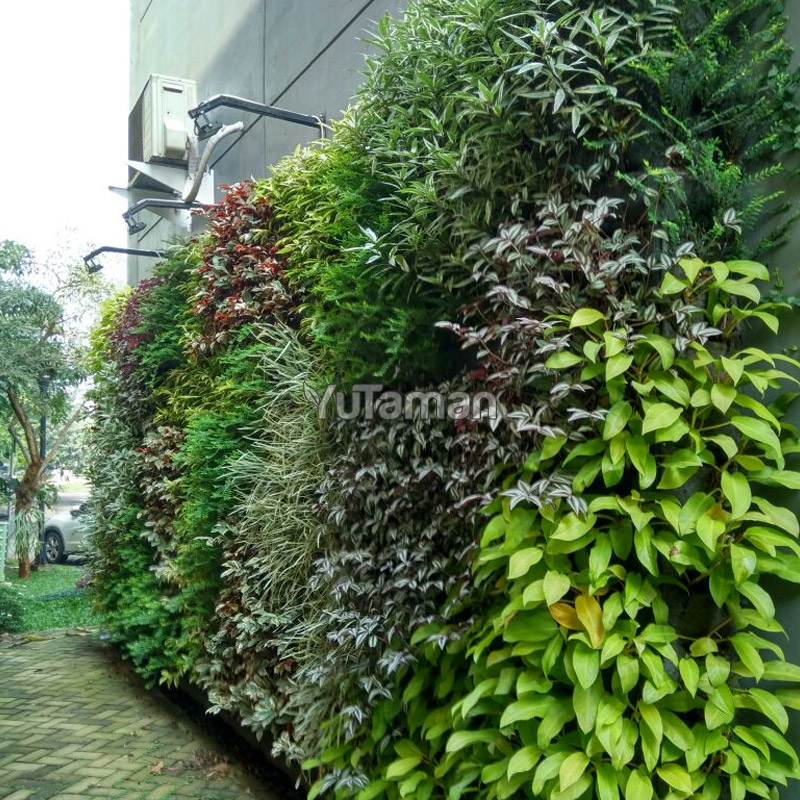 Jasa Vertical Garden Jakarta